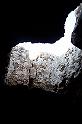 Carthage - Oued Milliane 100_6332